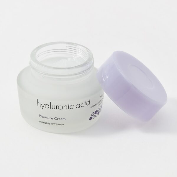 It’s Skin Hyaluronic Acid Moisture Cream 50ml