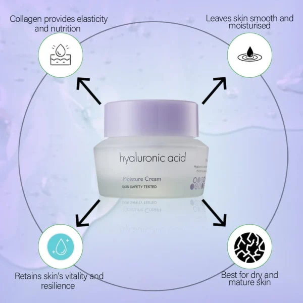 It’s Skin Hyaluronic Acid Moisture Cream 50ml